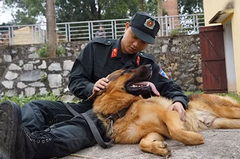 Phút "thư giãn" của Thiếu úy Nguyễn Vũ Cương và Rex sau những giờ luyện tập vất vả.