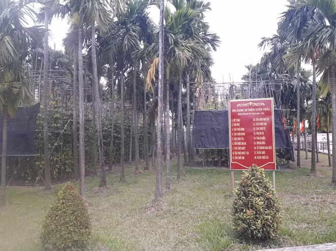 Hình ảnh 18 thôn vườn trầu được tái hiện.