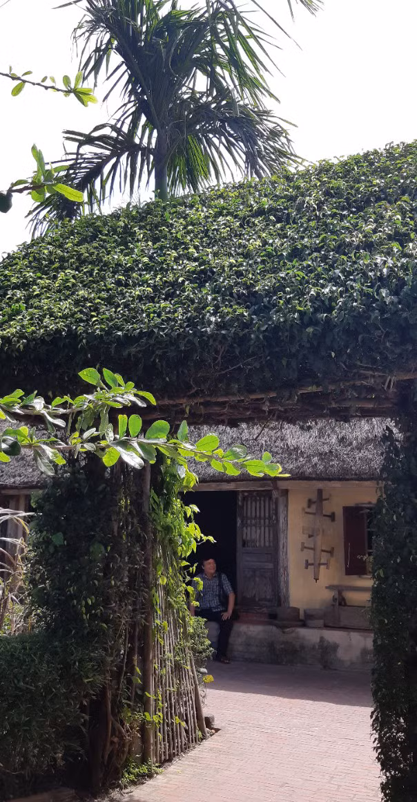 Trong khu vực Bảo tàng còn Đền thờ Chủ tịch Hồ Chí Minh, hồ, vó kéo cá, có mảnh ruộng lúa nước, cùng hàng trăm loại cây quý gắn bó với đồng quê đồng bằng Bắc Bộ. Bảo tàng là nơi tổ chức nhiều sự kiện văn hóa miền quê, và hiện vẫn duy trì một số nghề truyền thống với nhà dệt chiếu, làm men rượu theo phương pháp cổ truyền để du khách tham quan. Du khách cũng có thể tham quan hoặc trực tiếp chế biến, thưởng thức các món ăn dân dã vùng quê như rượu quê, bánh gai, bánh khúc...