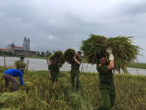 Cán bộ Công an giúp dân gặt lúa