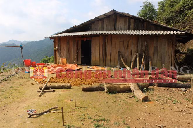 Ngôi nhà chị Triệu Thị Coi