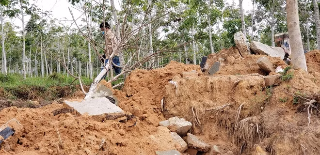 Đơn vị thi công múc bỏ các tấm đan bê tông bị hư hỏng.