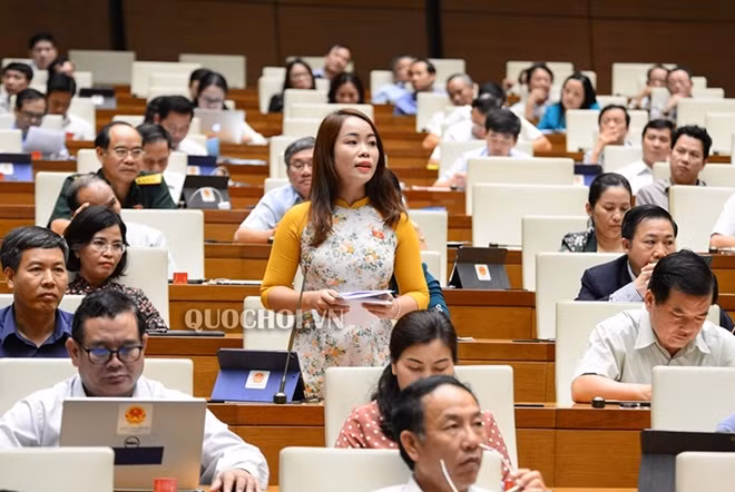 ĐBQH Triệu Thị Huyền.