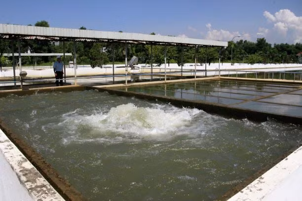 Hoạt động xử lý nguồn nước tại Nhà máy nước Cầu Đỏ