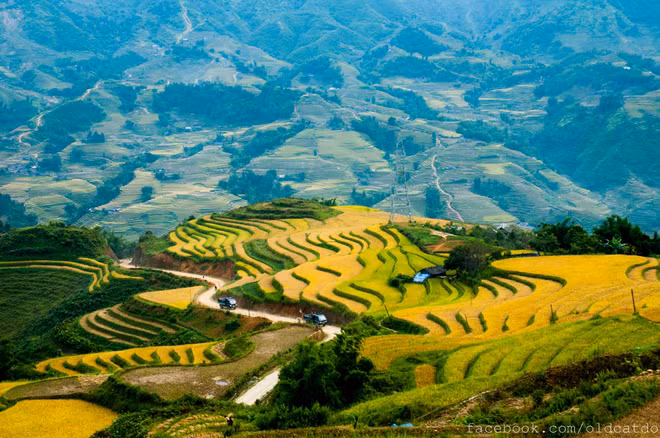 Ruộng bậc thang Na Hang, Tuyên Quang. (Ảnh: Thế Cường)