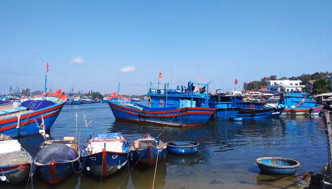 Nhiều tàu cá tại cảng Sa Kỳ, xã Bình Châu vẫn phải nằm bờ vì thiếu lao động.