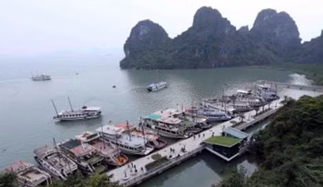 Các tàu du lịch hoạt động trên Vịnh Hạ Long.