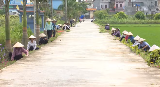 Người dân tỉnh Thái Bình tích cực chỉnh trang đường xá để xây dựng nông thôn mới.