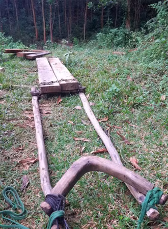 Tại đây còn có 5 phách gỗ nhỏ được tập kết, trong đó 2 phách còn mắc nối vào dụng cụ trâu kéo.