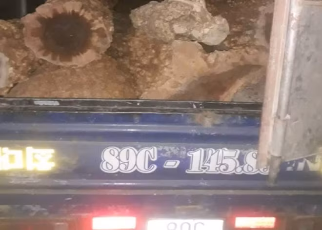 Số gỗ được UBND xã Cư Đrăm thu giữ nhưng sau đó được một số cán bộ xã tẩu tán, mang đi biếu xen người khác trái quy định Số gỗ được UBND xã Cư Đrăm thu giữ nhưng sau đó được một số cán bộ xã tẩu tán, mang đi biếu xen người khác trái quy định