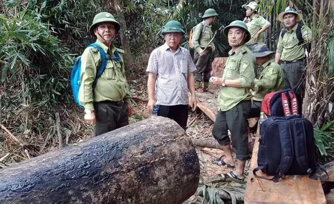 Kiểm lâm Quảng Nam đang tổ chức làm "trong sạch nội bộ" sau hàng loạt vụ phá rừng tự nhiên.