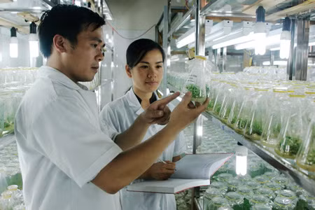 Tiến bộ khoa học công nghệ thúc đẩy tăng trưởng nông nghiệp