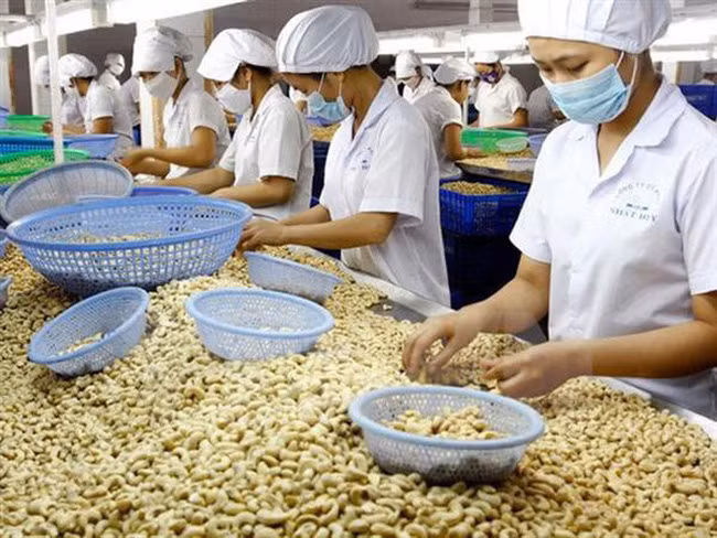 Sản phẩm nông sản xuất khẩu cạnh tranh kém do chưa xây dựng được thương hiệu.