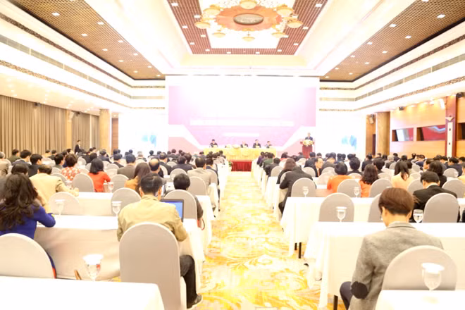 Các đại biểu tham dự hội nghị.