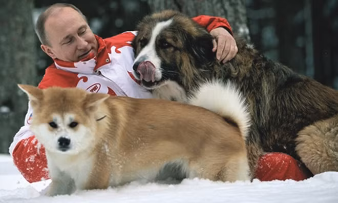 Tổng thống Putin chơi đùa với Yume (lông vàng).