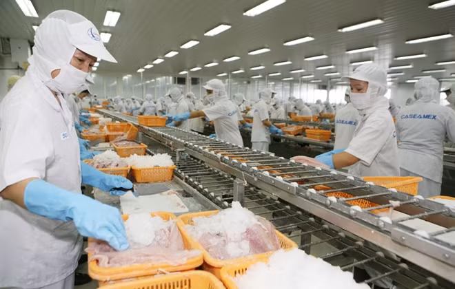 Ngành thủy sản đạt mức tăng trưởng cao nhất 9 năm qua. ảnh minh hoạ