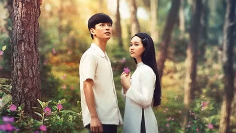 “Mắt biếc” trắng tay tại Cánh diều 2019.