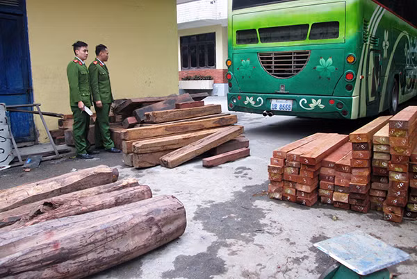 Lực lượng CSKT Công an TP Vinh giám sát việc bốc toàn bộ số gỗ quý hiếm đưa vào kho tạm giữ hiện vật