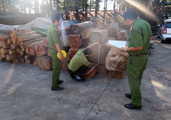 Lực lượng chức năng đang kiểm đếm tang vật của vụ việc.
