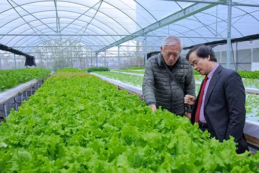 GFS tiên phong trong phát triển nông nghiệp hữu cơ công nghệ cao