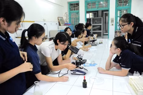 Không “chạy theo thành tích” trong xây dựng và phát triển trường chuyên ảnh 2