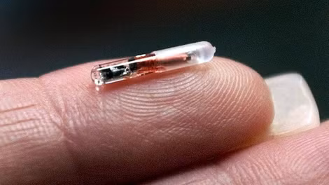 Chip an ninh siêu nhỏ RFID. Chip an ninh siêu nhỏ RFID.