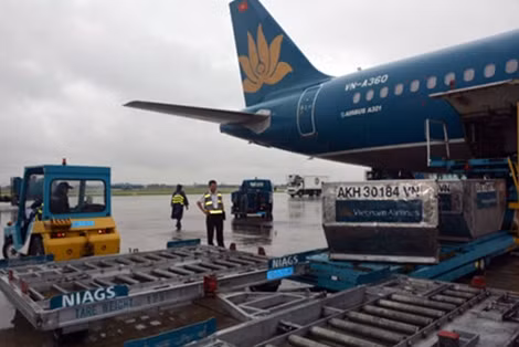 Vietnam Airlines hỗ trợ vận chuyển khẩn cấp hàng cứu trợ lũ lụt đến Sơn La và Yên Bái