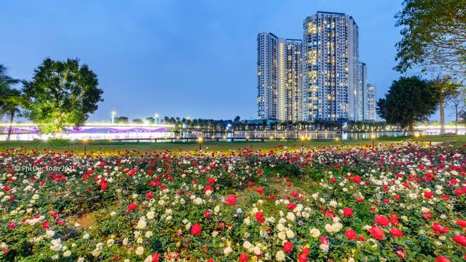 Ngoài vườn hồng khổng lồ ven hồ Thiên Nga, người dân sống tại Ecopark có thể thấy hoa hồng khắp mọi nơi: Hồng rực rỡ bên cung đường dạo bộ, nép mình dưới những tán cây, toả hương thoang thoảng bên đường, soi mình bên hồ nước khiến Ecopark đẹp tựa trời Âu.