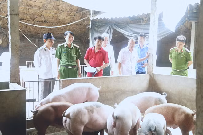 Đoàn công tác Học viện CSND trực tiếp đến thu mua thịt lợn cho người dân.