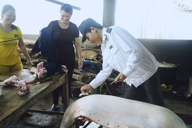 Thực phẩm thu mua đảm bảo chất lượng kiểm dịch VSATTP.