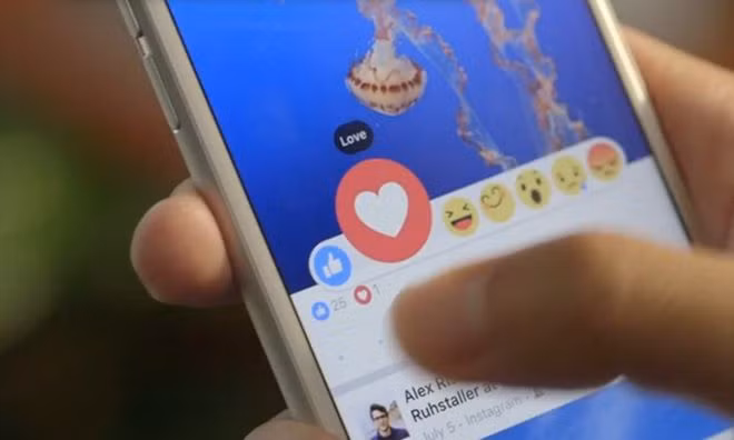 Facebook sẽ xóa bỏ nút Like trên các trang Fanpage. Facebook sẽ xóa bỏ nút Like trên các trang Fanpage.