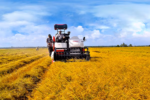Nhờ Agribank, người dân dễ dàng tiếp cận nguồn vốn, máy móc nông nghiệp hiện đại trong sản xuất hơn.