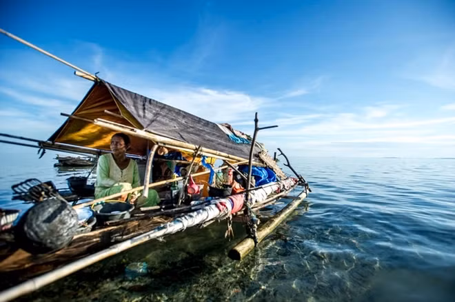 Sự biến đổi về gene giúp người tộc Bajau trở lên phi thường khi họ có thể lặn xuống độ sâu 70 m, chỉ với sự hỗ trợ của một đôi kính gọng gỗ cùng khả năng nhịn thở rất lâu tới hơn 10 phút liên tục để săn bắt cá dưới biển.