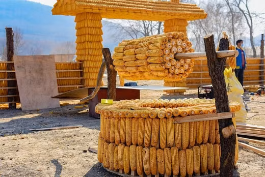Cổng vào