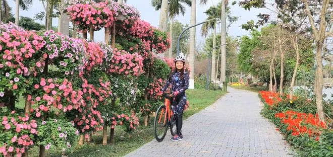 Tại khu đô thị, hoa không chỉ khoe sắc dưới mặt đất, mà còn rực nở trên không, nương mình vào những thân cây, tạo thành những vườn hoa trên cao trải dài bất tận.