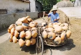 Sản phẩm niêu đất Trù Sơn có mặt tại nhiều địa phương khu vực Bắc Trung Bộ.
