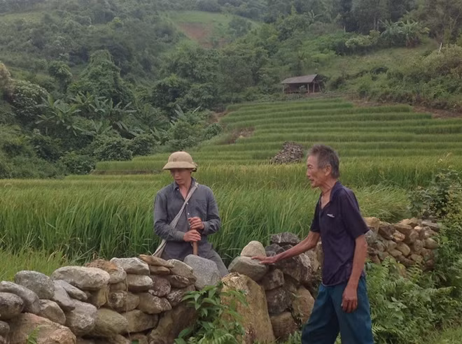 Với hơn 20 ha ruộng lúa nước xanh tốt, người dân Phìn Ngan đã không còn lo thiếu đói.
