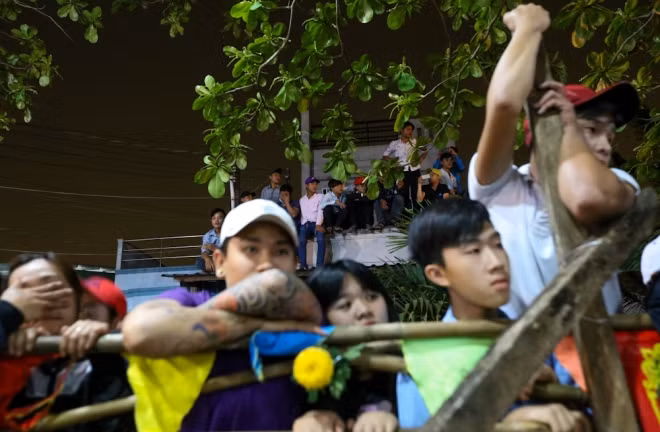 Nhiều người cố gắng trèo lên cây, mái nhà để dễ dàng quan sát.