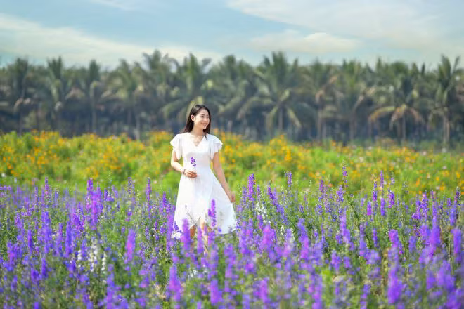 Ngoài những rặng hồng xuất hiện khắp nơi, Ecopark còn gây ấn tượng với những vườn hoa Violet tím lãng mạn, những rừng tuý điệp rộng mênh mông nằm bên cung đường hoa vàng, cỏ xanh nổi tiếng của Ecopark.