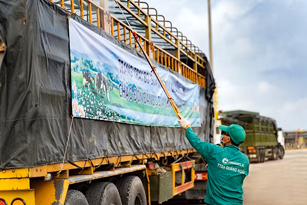 Các công tác khử khuẩn và sát trùng được thực hiện nghiêm ngặt trong toàn bộ quá trình tiếp nhận bò