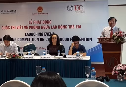 Việt Nam cam kết tuân thủ các tiêu chuẩn lao động quốc tế, xóa bỏ lao động trẻ em ảnh 1