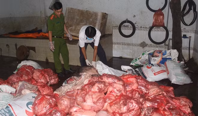 Số thịt lợn bốc mùi chuẩn bị đưa đi tiêu thụ.