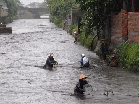 Đợt mưa lũ lịch sử ở Quảng Ninh với lượng mưa trong 3 ngày qua lên tới 600-800 mm không chỉ gây sạt núi, sập nhà làm 18 người chết, 6 người mất tích, mà còn cuốn trôi nhiều bãi chứa than của các công ty than Cọc 6, Mông Dương, Cao Sơn, đặt tại phường Mông Dương, thành phố Cẩm Phả. Hàng nghìn mét khối than đá, than cám đổ xuống suối B5-12 và theo dòng nước xiết chảy ra biển. Đợt mưa lũ lịch sử ở Quảng Ninh với lượng mưa trong 3 ngày qua lên tới 600-800 mm không chỉ gây sạt núi, sập nhà làm 18 người chết, 6 người mất tích, mà còn cuốn trôi nhiều bãi chứa than của các công ty than Cọc 6, Mông Dương, Cao Sơn, đặt tại phường Mông Dương, thành phố Cẩm Phả. Hàng nghìn mét khối than đá, than cám đổ xuống suối B5-12 và theo dòng nước xiết chảy ra biển.