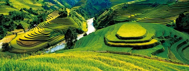 Ruộng bậc thang ở Mù Căng Chải