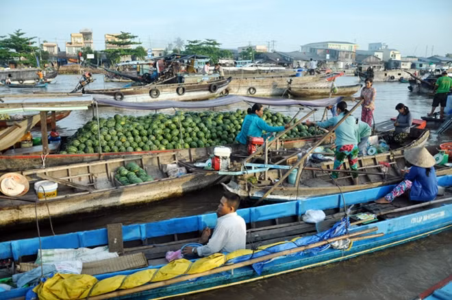 Cảnh buôn bán buổi sáng tại Chợ nổi Cái Răng.