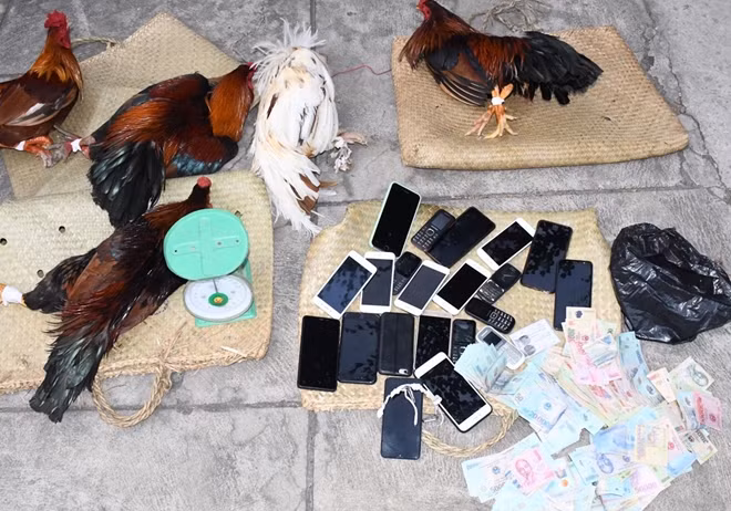 Tang vật được tạm giữ.