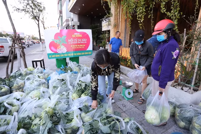 Người dân Đà Nẵng đã chung tay giải cứu hàng chục tấn nông sản với tinh thần “Mỗi củ su hào là một nghĩa tình đồng bào”.
