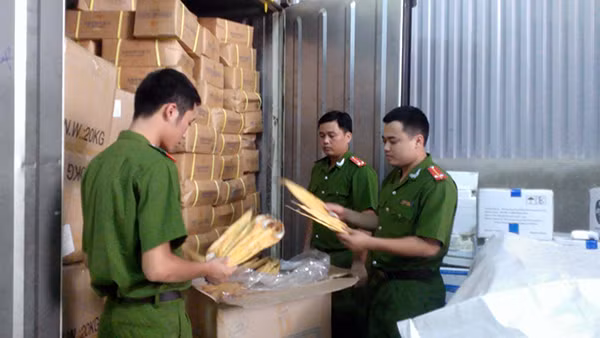 Hơn nửa tấn cá khô lậu đóng trong các thùng cotton.
