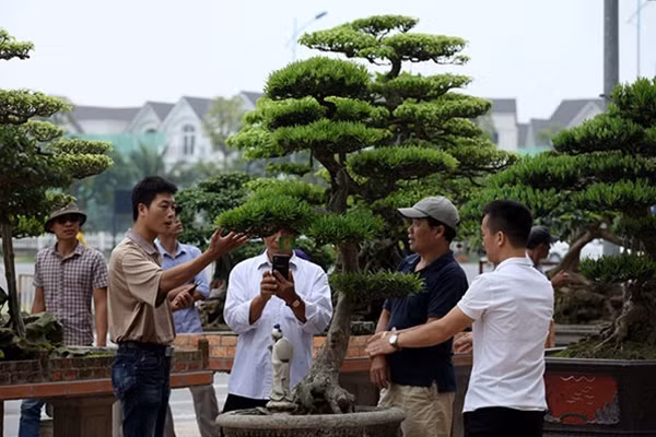 Hàng nghìn tác phẩm nghệ thuật đang được trưng bày tại Vinhomes Riverside.
