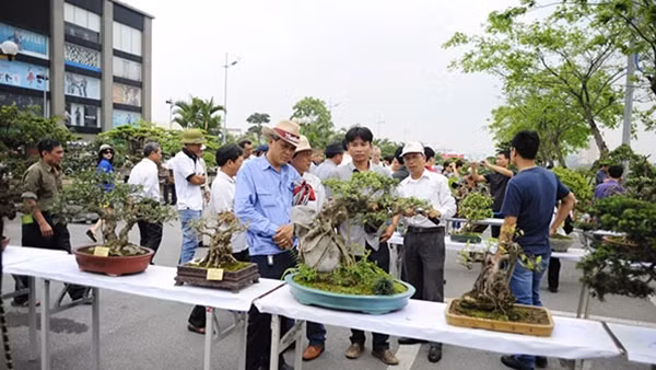 Diễn ra từ 27/4 đến hết 9/5 – Festival sinh vật cảnh Thủ đô lần thứ 1 quy tụ gần 20.000 tác phẩm cây, hoa, đá, gỗ lũa nghệ thuật từ hơn 1.000 nghệ nhân và các chủ vườn trên toàn quốc, mở ra một điểm đến độc đáo và hấp dẫn cho người dân trong dịp nghỉ lễ.